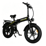 BAOLUJIE BLJ D7 20" Vélo électrique pliant 500W Moteur 48V 12Ah Batterie