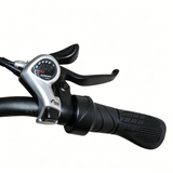 BAOLUJIE BLJ D7 20" Vélo électrique pliant 500W Moteur 48V 12Ah Batterie