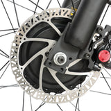 BAOLUJIE DP-2602 26" Vélo électrique à gros pneus 2000W Moteur 48V 23Ah Batterie