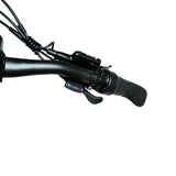 BAOLUJIE BLJ S9 29" VTT électrique 750W Moteur 48V 14Ah Batterie