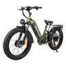 BAOLUJIE P7 2401 24" Vélo électrique à cadre ouvert 2000W Moteur 48V 20Ah Batterie