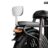 DRVETION ET20 20" Vélo électrique de ville 1000W Moteur 48V 15Ah/20Ah Batterie