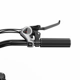 DUOTTS C29 Lite 27.5" Vélo Électrique de Trajet Quotidien Urbain 250W Moteur 36V 13Ah Batterie