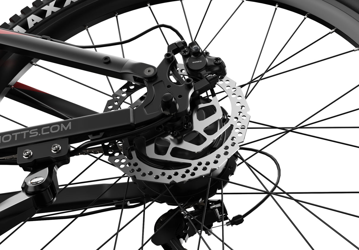 DUOTTS E29 27.5" VTT Électrique à Pneus Épais 250W Moteurs 48V 13.5Ah Batterie
