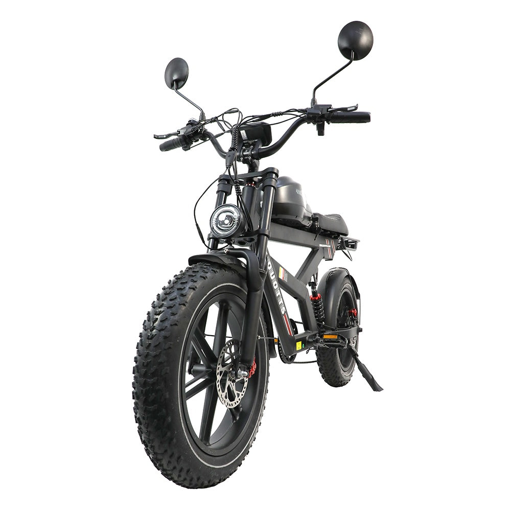 DUOTTS F20 20" Rétro Vélo tout terrain électrique 750W Moteur 52V 27Ah Batterie