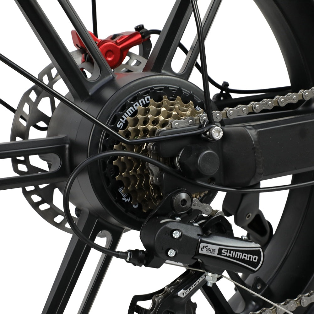 DUOTTS F20 20" Rétro Vélo tout terrain électrique 750W Moteur 52V 27Ah Batterie