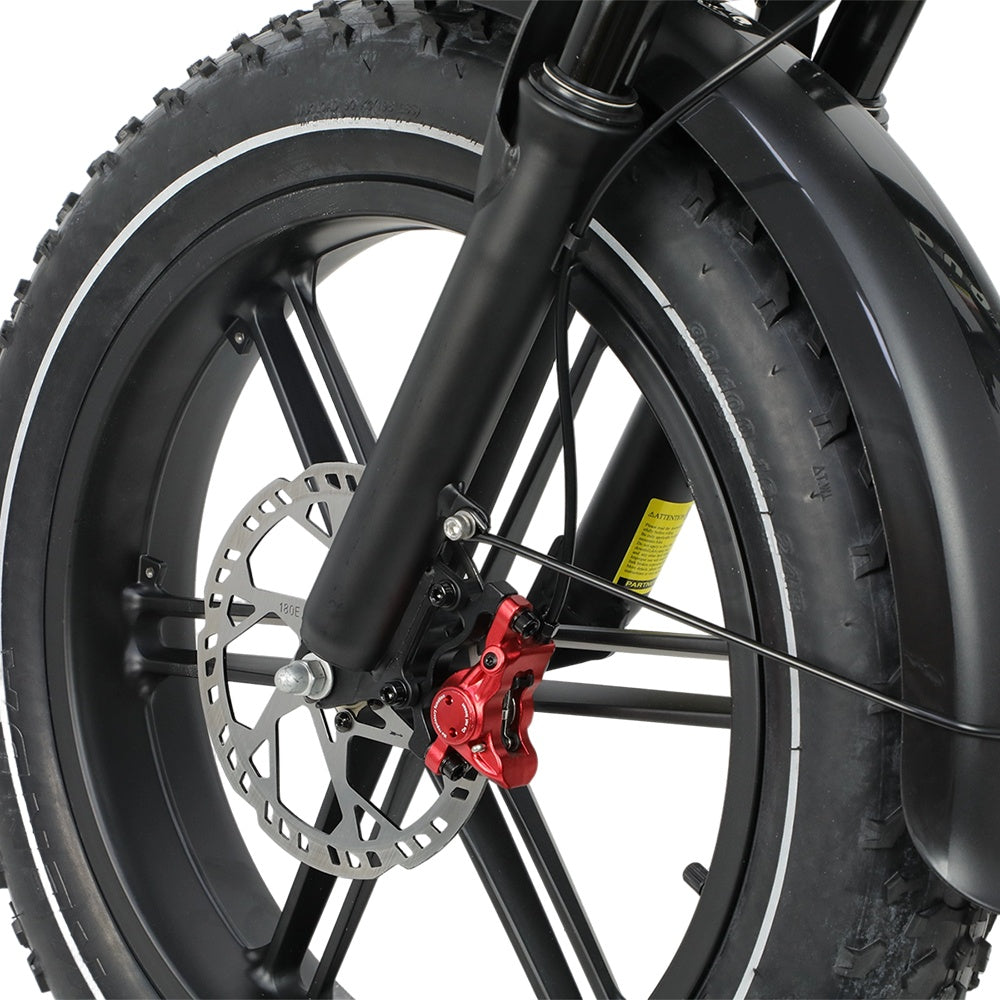 DUOTTS F20 20" Rétro Vélo tout terrain électrique 750W Moteur 52V 27Ah Batterie