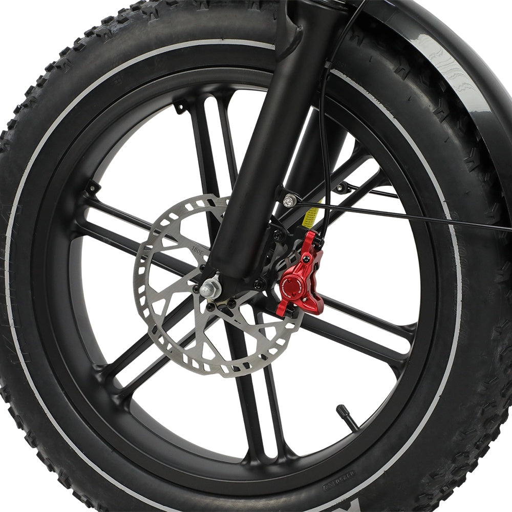 DUOTTS F20 20" Rétro Vélo tout terrain électrique 750W Moteur 52V 27Ah Batterie