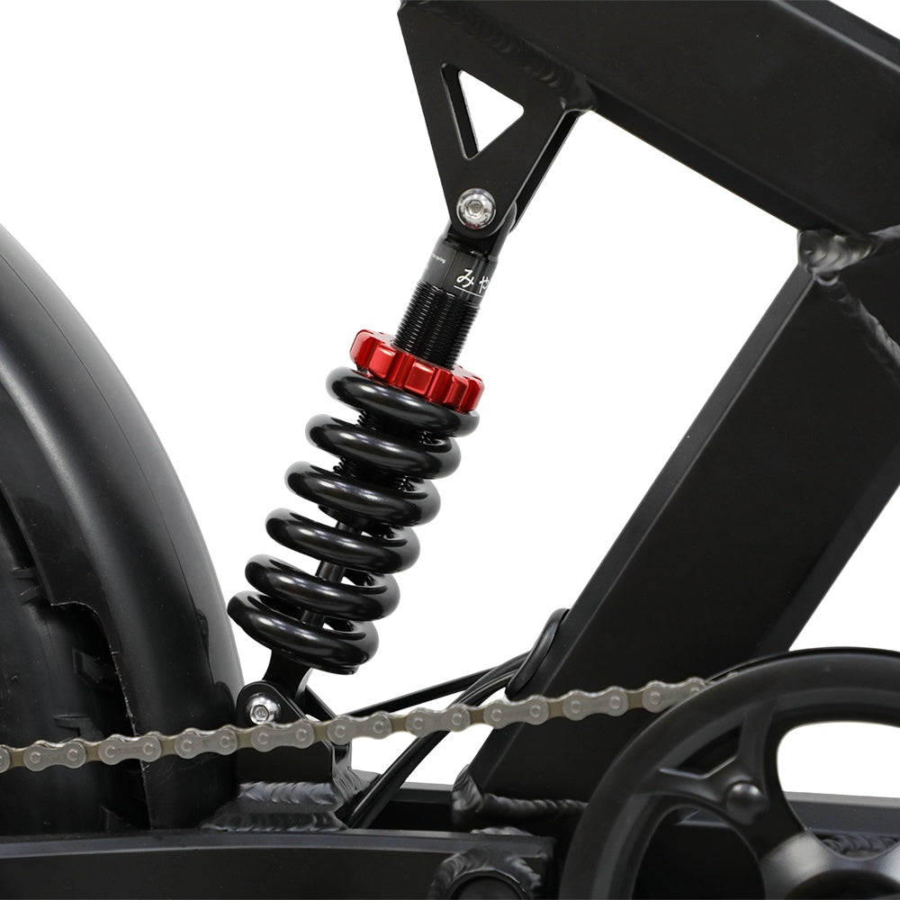 DUOTTS F20 20" Rétro Vélo tout terrain électrique 750W Moteur 52V 27Ah Batterie