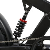DUOTTS F20 20" Rétro Vélo tout terrain électrique 750W Moteur 52V 27Ah Batterie