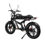 DUOTTS F20 20" Rétro Vélo tout terrain électrique 750W Moteur 52V 27Ah Batterie