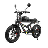 DUOTTS F20 20" Rétro Vélo tout terrain électrique 750W Moteur 52V 27Ah Batterie