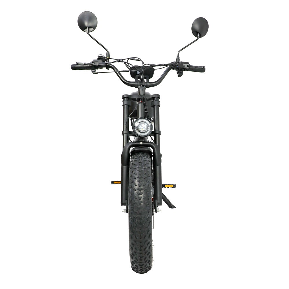 DUOTTS F20 20" Rétro Vélo tout terrain électrique 750W Moteur 52V 27Ah Batterie