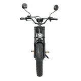 DUOTTS F20 20" Rétro Vélo tout terrain électrique 750W Moteur 52V 27Ah Batterie