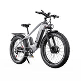 DUOTTS F26 26" Vélo électrique de montagne 750W*2 Moteurs 48V 20Ah Batterie