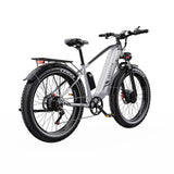 DUOTTS F26 26" Vélo électrique de montagne 750W*2 Moteurs 48V 20Ah Batterie