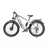 DUOTTS F26 26" Vélo électrique de montagne 750W*2 Moteurs 48V 20Ah Batterie