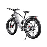 DUOTTS F26 26" Vélo électrique de montagne 750W*2 Moteurs 48V 20Ah Batterie