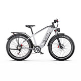 DUOTTS F26 Lite 26" Vélo Électrique de Montagne 500W Moteurs 48V 18Ah Batterie
