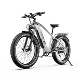 DUOTTS F26 Lite 26" Vélo Électrique de Montagne 500W Moteurs 48V 18Ah Batterie