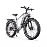 DUOTTS F26 Lite 26" Vélo Électrique de Montagne 500W Moteurs 48V 18Ah Batterie