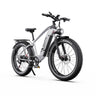 DUOTTS F26 Lite 26" Vélo Électrique de Montagne 500W Moteurs 48V 18Ah Batterie