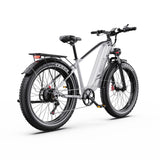 DUOTTS F26 Lite 26" Vélo Électrique de Montagne 500W Moteurs 48V 18Ah Batterie