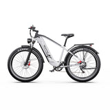 DUOTTS F26 Lite 26" Vélo Électrique de Montagne 500W Moteurs 48V 18Ah Batterie