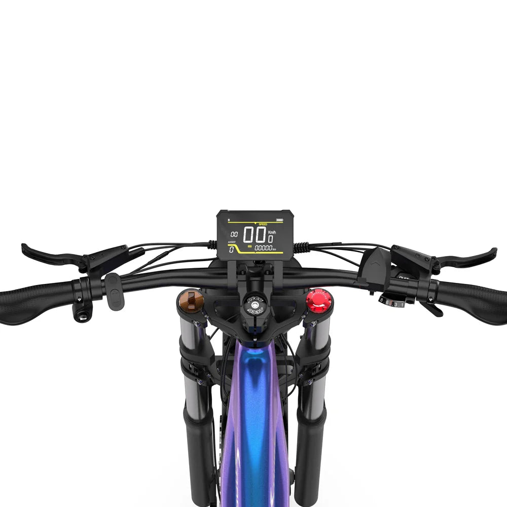 DUOTTS E26 26" Vélo de montagne électrique à gros pneus SUV moteur 750 W batterie 48 V 20 Ah