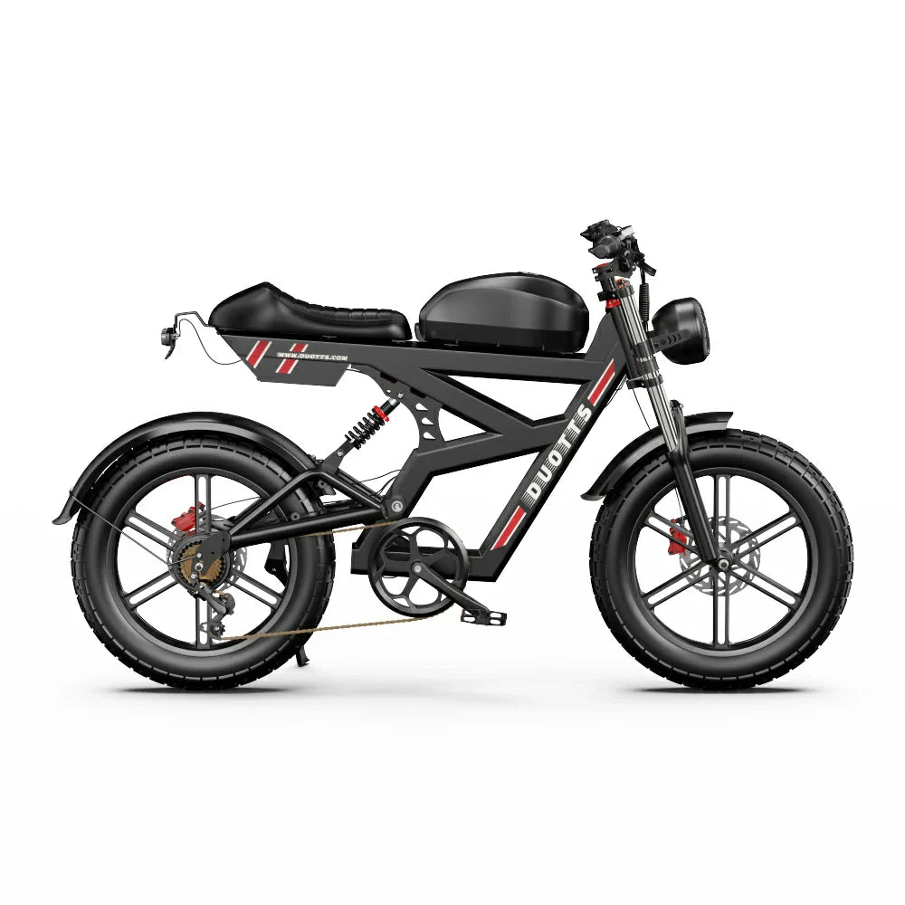 DUOTTS F20 20" Rétro Vélo tout terrain électrique Moteur 750W Batterie 52V 27Ah