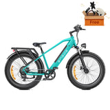 ENGWE E26 26" Vélo électrique tout-terrain à gros pneus, moteur 1000 W, batterie 48 V 16 Ah