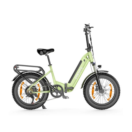 ESKUTE Star 20" Fat Tire Vélo électrique pliant 250W Moteur 36V 25Ah Batterie