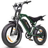 ESKUTE V202 20" Vélo électrique tout-terrain 250W Moteur 48V 20.8Ah Batterie