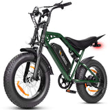 ESKUTE V202 20" Vélo électrique tout-terrain 250W Moteur 48V 20.8Ah Batterie