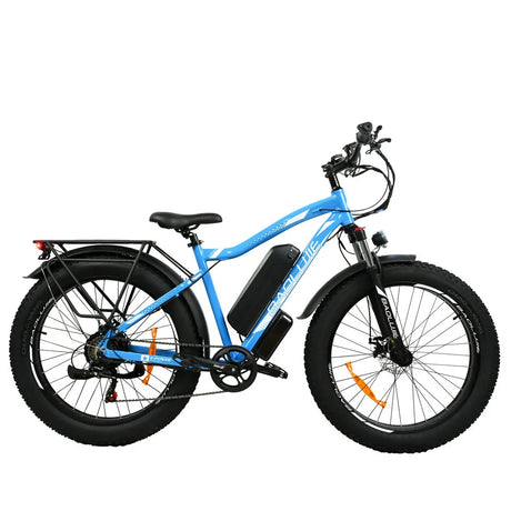 BAOLUJIE DP2619 26 pouces vélo électrique de montagne 750W moteur 48V 13Ah batterie bleu