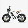ENGWE M20 20" Fat Tire Off-road Electric Bike 1000W Motor 48V 13Ah Battery