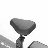 IWAFO IS2 10" Trottinette électrique avec siège 800W Motor 48V 15Ah Batterie