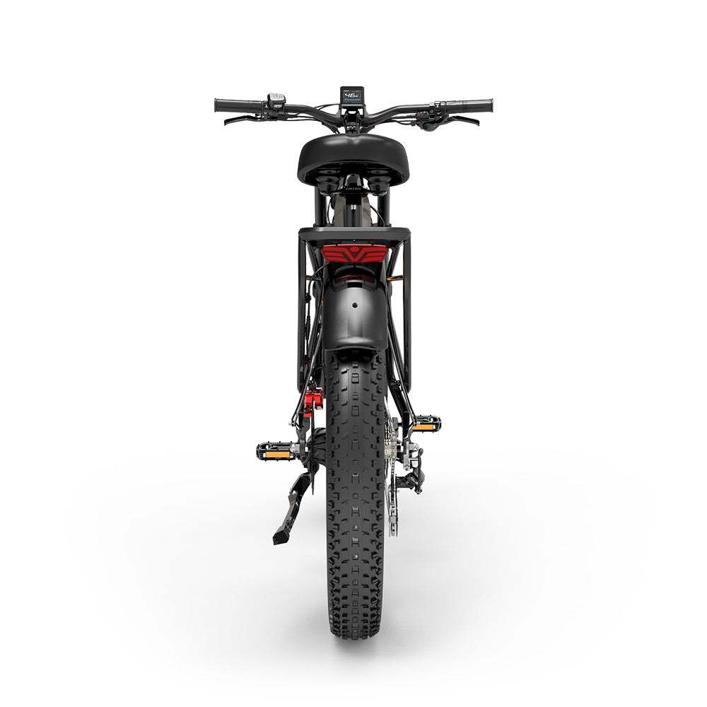 LANKELEISI MG800MAX Vélo électrique tout-terrain 26″ Pneus larges Double moteur 2×1000W Batterie 48V 20Ah