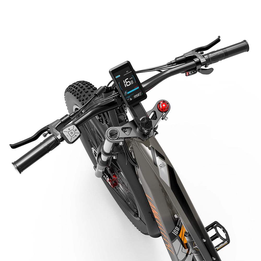 LANKELEISI MG800MAX Vélo électrique tout-terrain 26″ Pneus larges Double moteur 2×1000W Batterie 48V 20Ah
