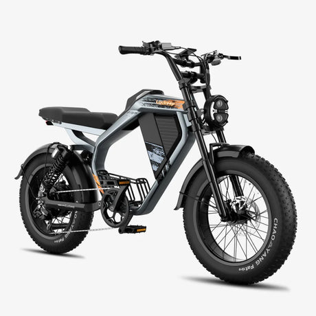 LUCKEEP M5 20" Motocyclette Électrique Tout Terrain 1000W Moteur 48V 15Ah/35Ah Batterie