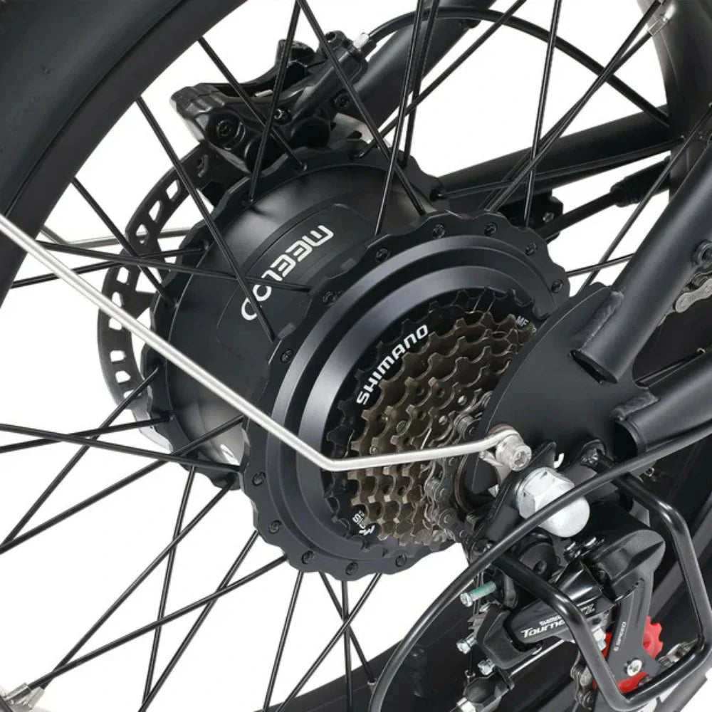 MEELOD DK300 MAX 20" Vélo électrique de style cyclomoteur rétro 1200W de pointe Deux moteurs 48V 20Ah Double Batterie