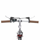 ONESPORT OT02 16" Vélo Électrique Pliant 250W Moteur 36V 5.2Ah Batterie