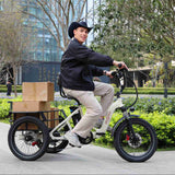 ONESPORT OT30 20" Tricycle électrique cargo à enjambement 500W Moteur 48V 13Ah Batterie