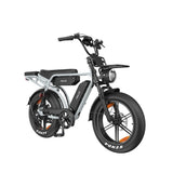 PIXAR M9 20" Fat Tire Vélo électrique rétro 250W Moteur 48V 35Ah Batterie