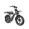 PIXAR M9 20" Fat Tire Vélo électrique rétro 250W Moteur 48V 35Ah Batterie