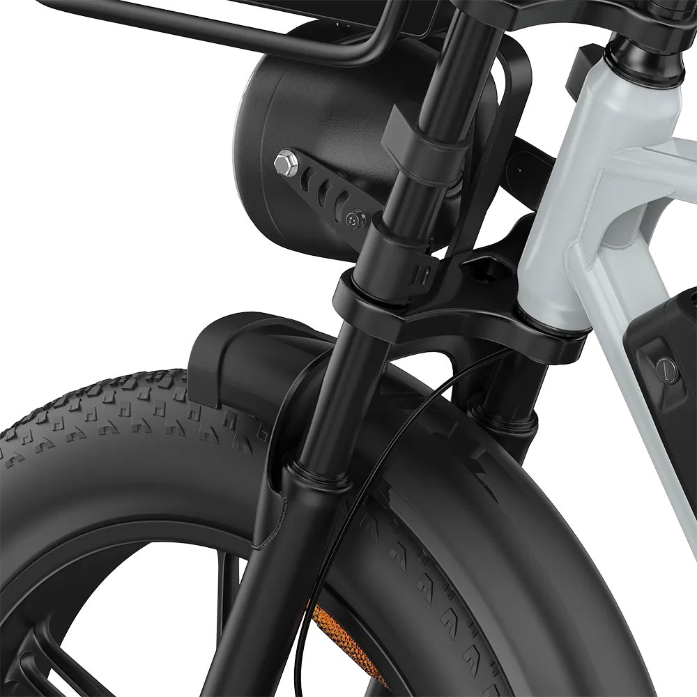 PIXAR M9 20" Fat Tire Vélo électrique rétro 250W Moteur 48V 35Ah Batterie