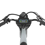 PIXAR M9 20" Fat Tire Vélo électrique rétro 250W Moteur 48V 35Ah Batterie