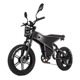 RANDRIDE DM711 20" Vélo électrique rétro à gros pneus 500W*2 Moteurs doubles 48V 20Ah Batterie