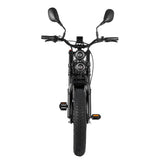 RANDRIDE DM711 20" Vélo électrique rétro à gros pneus 500W*2 Moteurs doubles 48V 20Ah Batterie