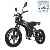 RANDRIDE DM711 20" Vélo électrique rétro à gros pneus 500W*2 Moteurs doubles 48V 20Ah Batterie